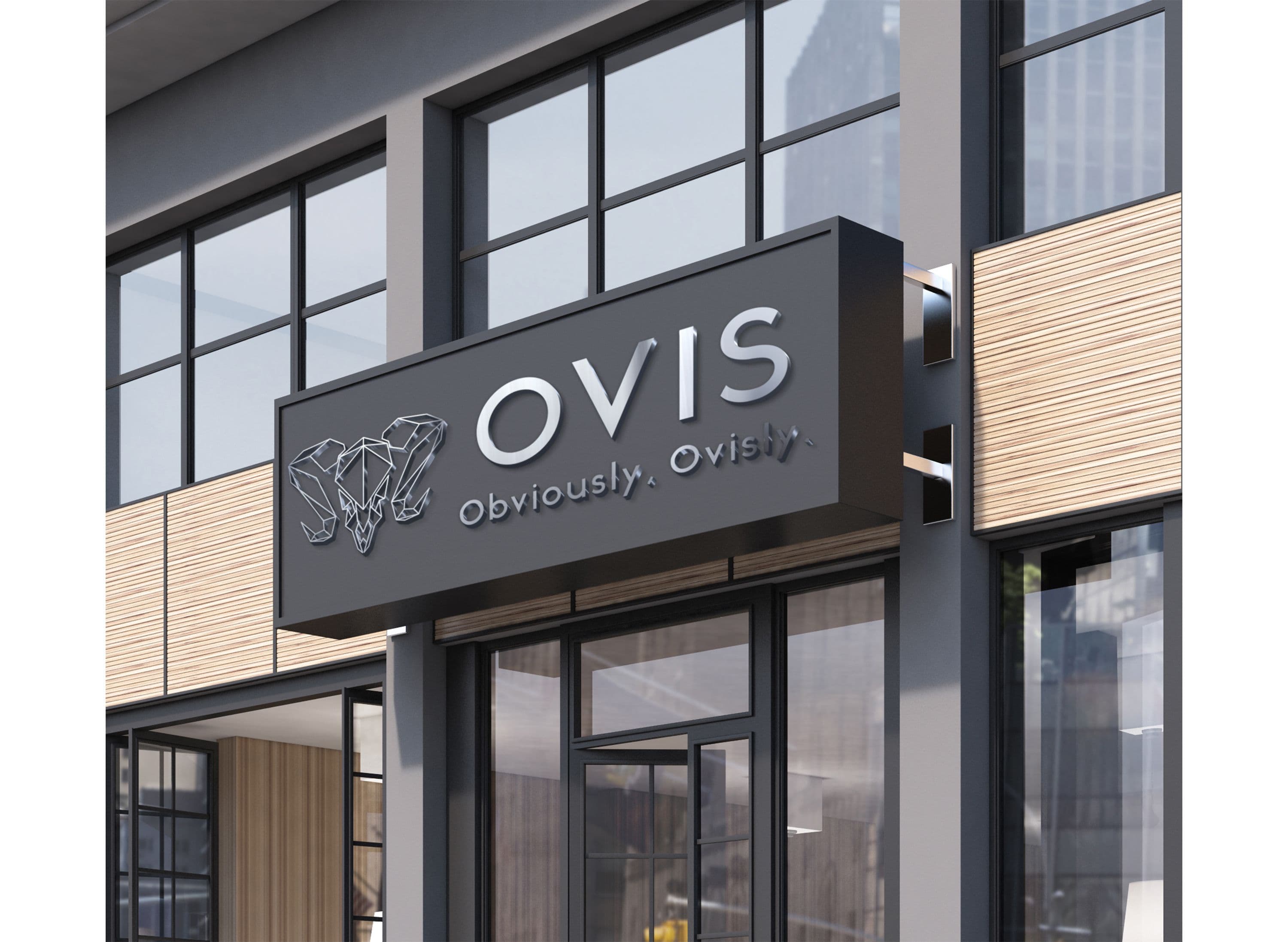 OVIS 활용 예시